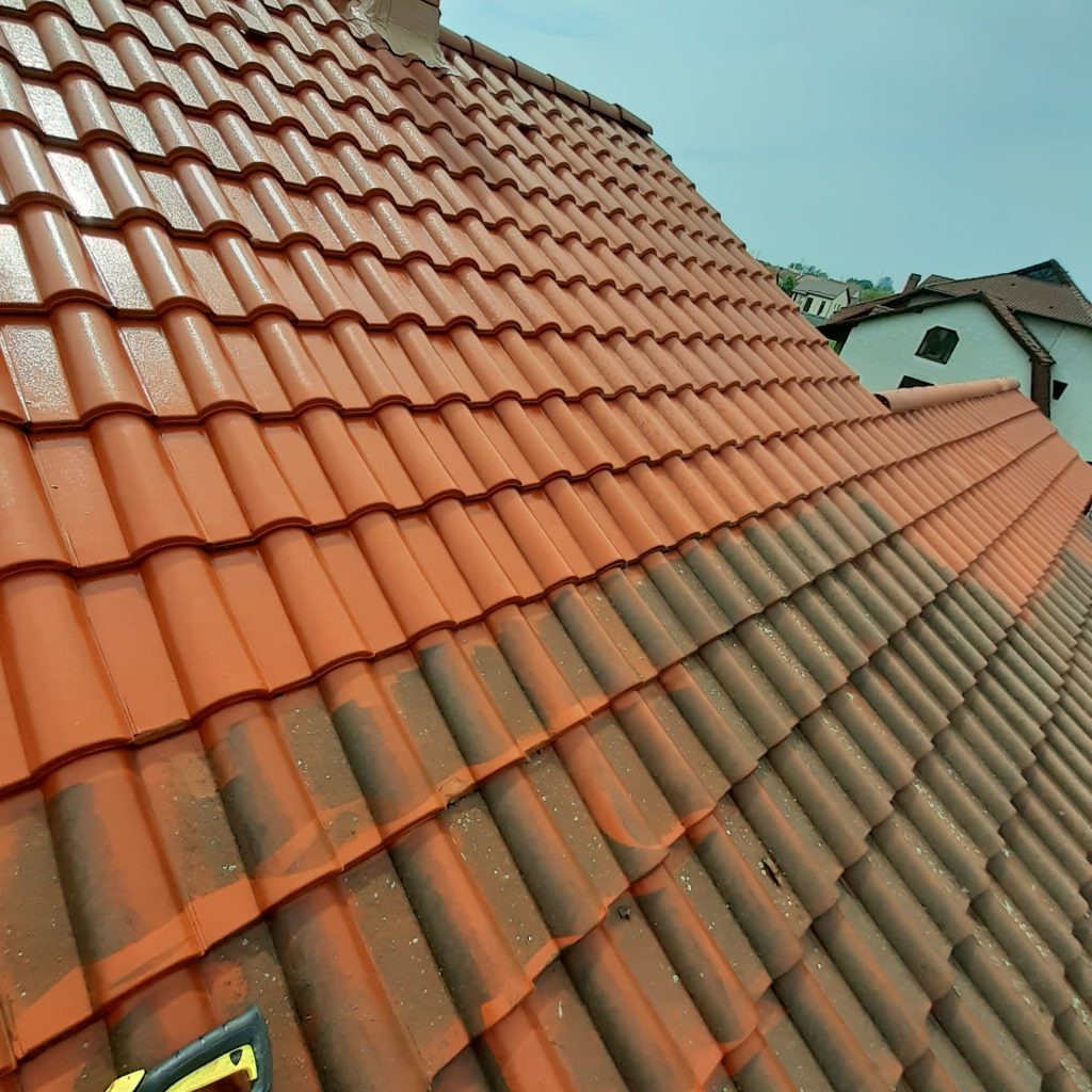 PHOTO-2025-12-07-17-30-43 6